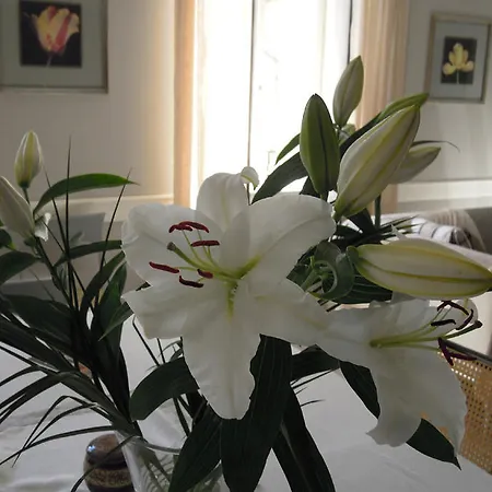 Bed & Breakfast Clos Des Secrets - Chambres D'hotes 3*